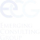 Emerging Consulting Group